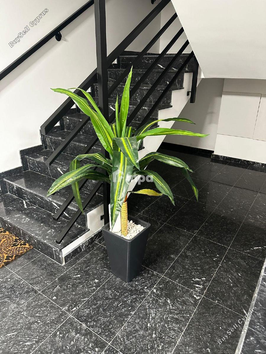 3 bedroom apartment for sale aradippou larnaca 8966147 image 17830665