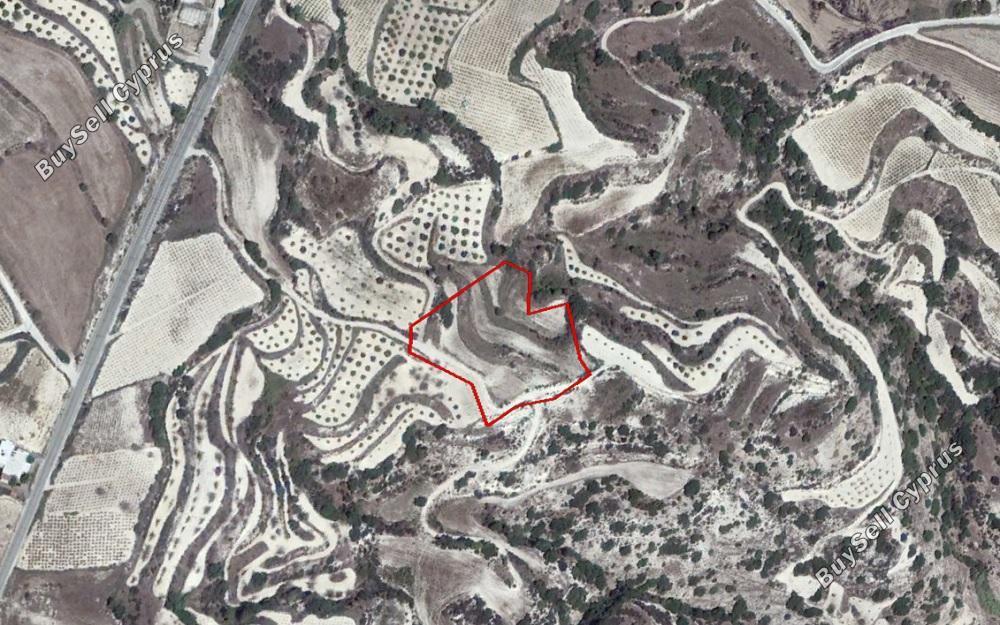 land for sale kallepeia paphos 828147 image 15177883