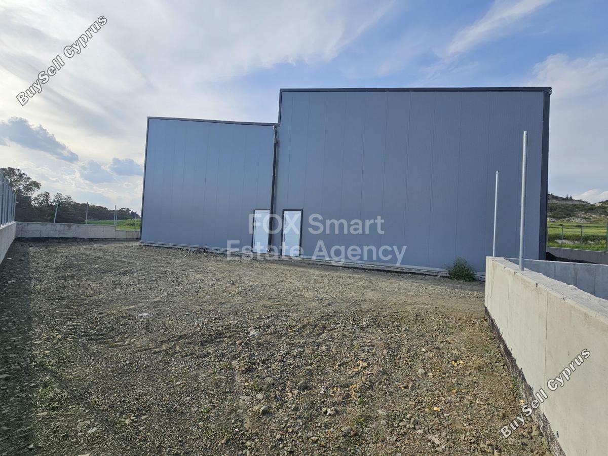 studio warehouse for rent alampra nicosia 8399147 image 14833936
