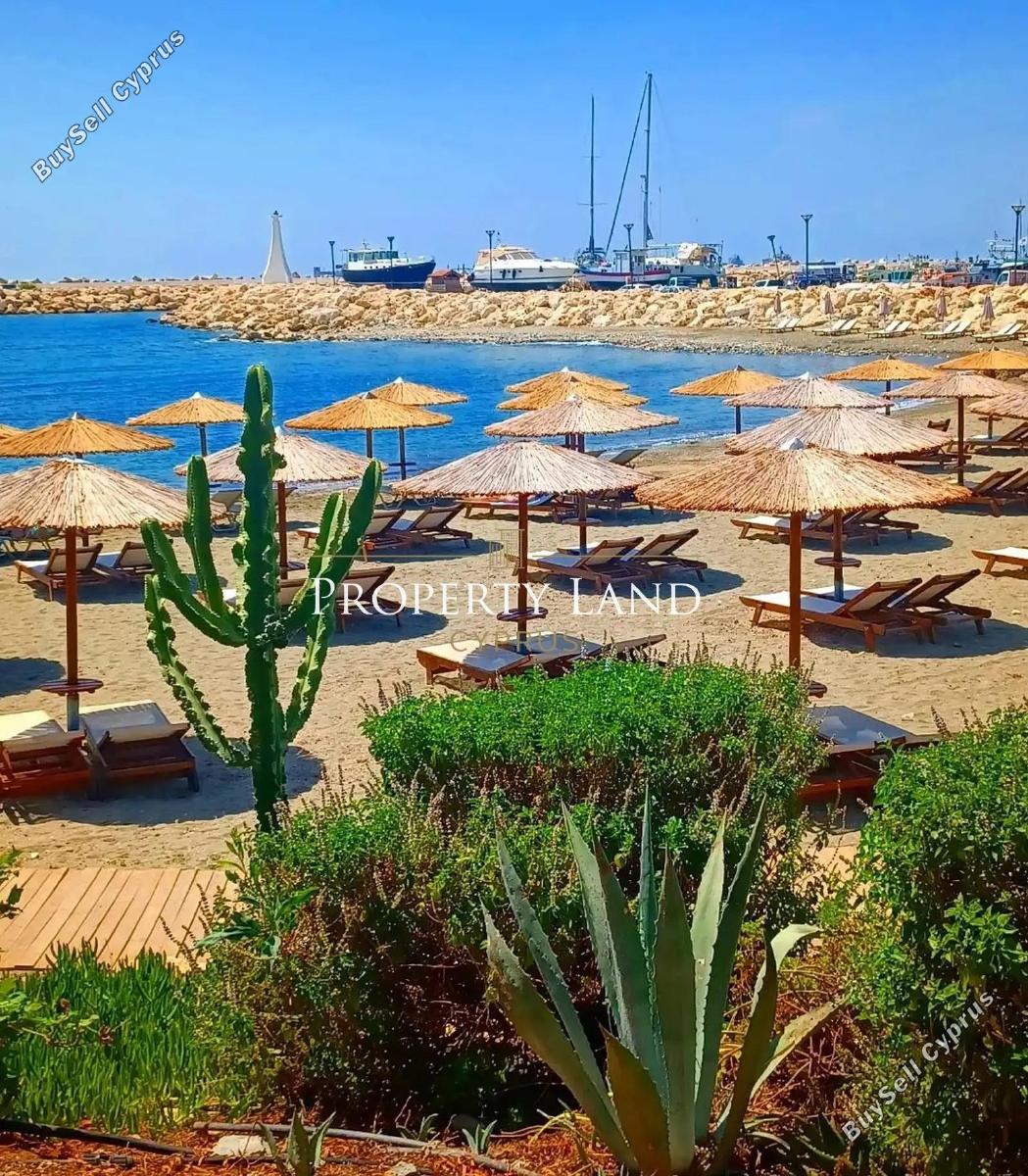 3 bedroom detached house for rent zygi larnaca 8804347 image 16787178