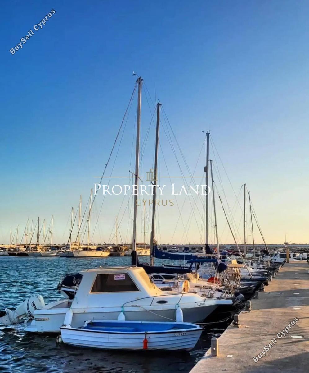 3 bedroom detached house for rent zygi larnaca 8804347 image 16787182