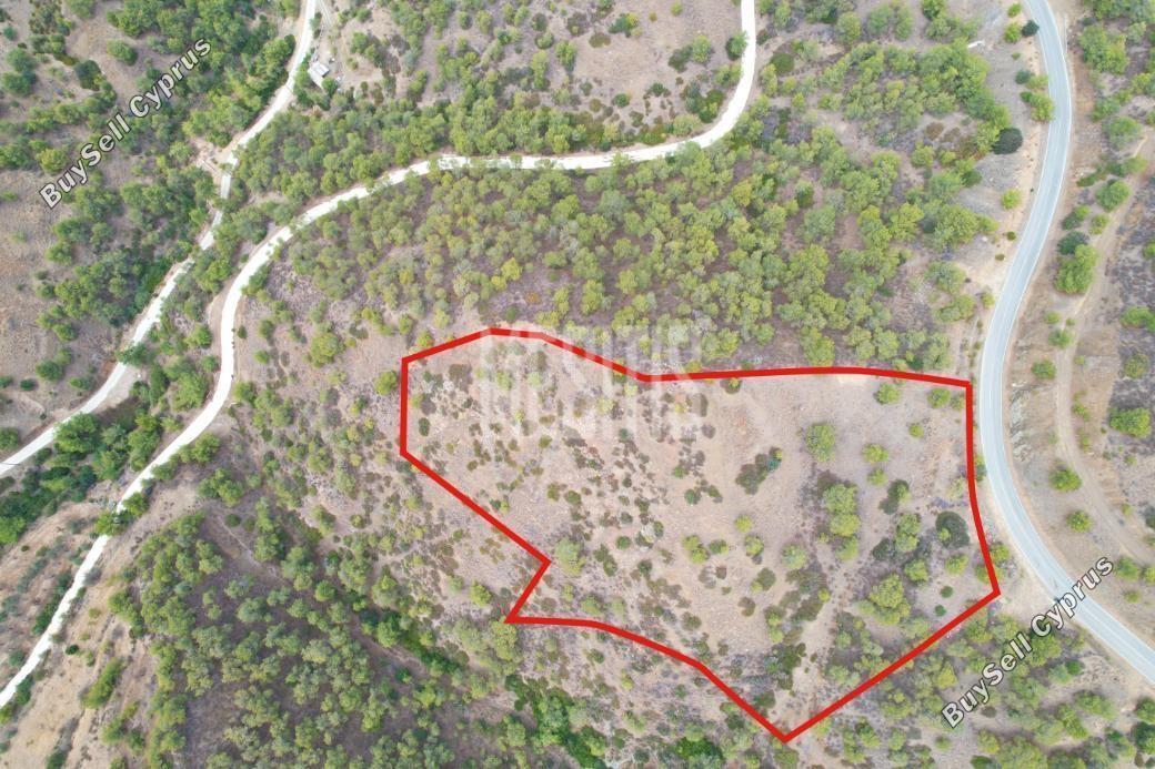 land for sale pano pyrgos nicosia 1714347 image 10529339