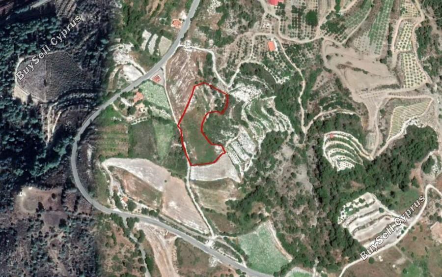 7154 SQM Land for sale in Panagia, Paphos 16719189