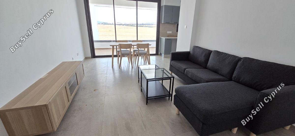 2 bedroom apartment for rent aradippou larnaca 8461447 image 15120365
