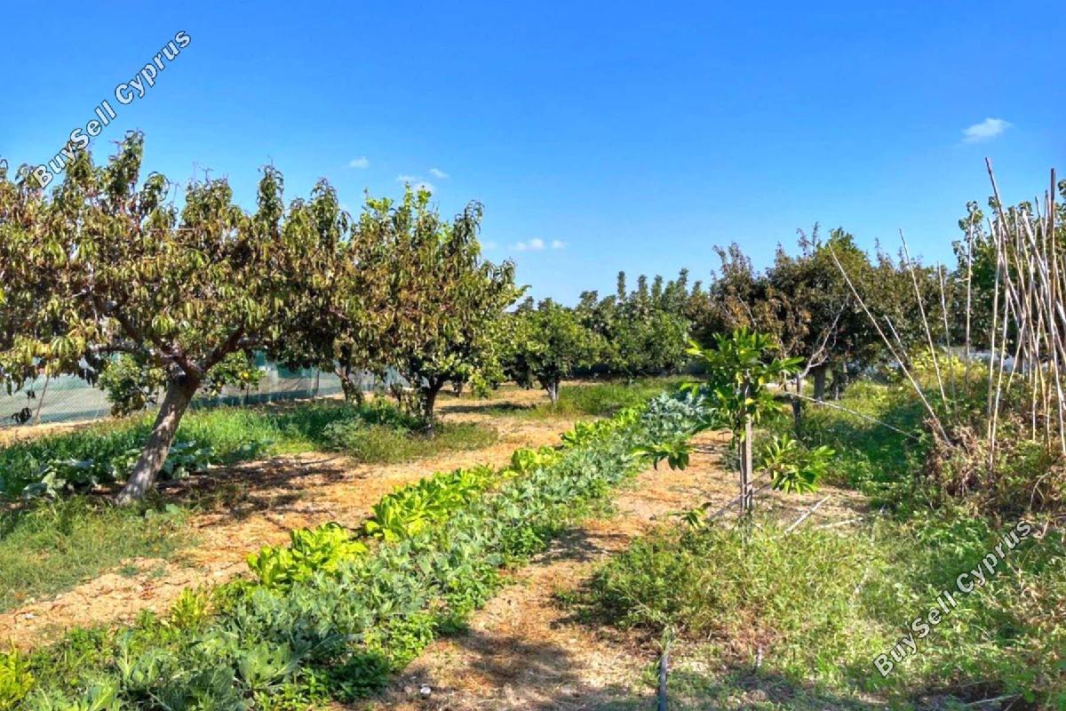 3 bedroom detached house for sale maroni larnaca 1659447 image 13281965