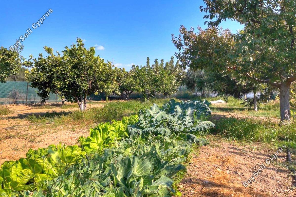 3 bedroom detached house for sale maroni larnaca 1659447 image 13281972