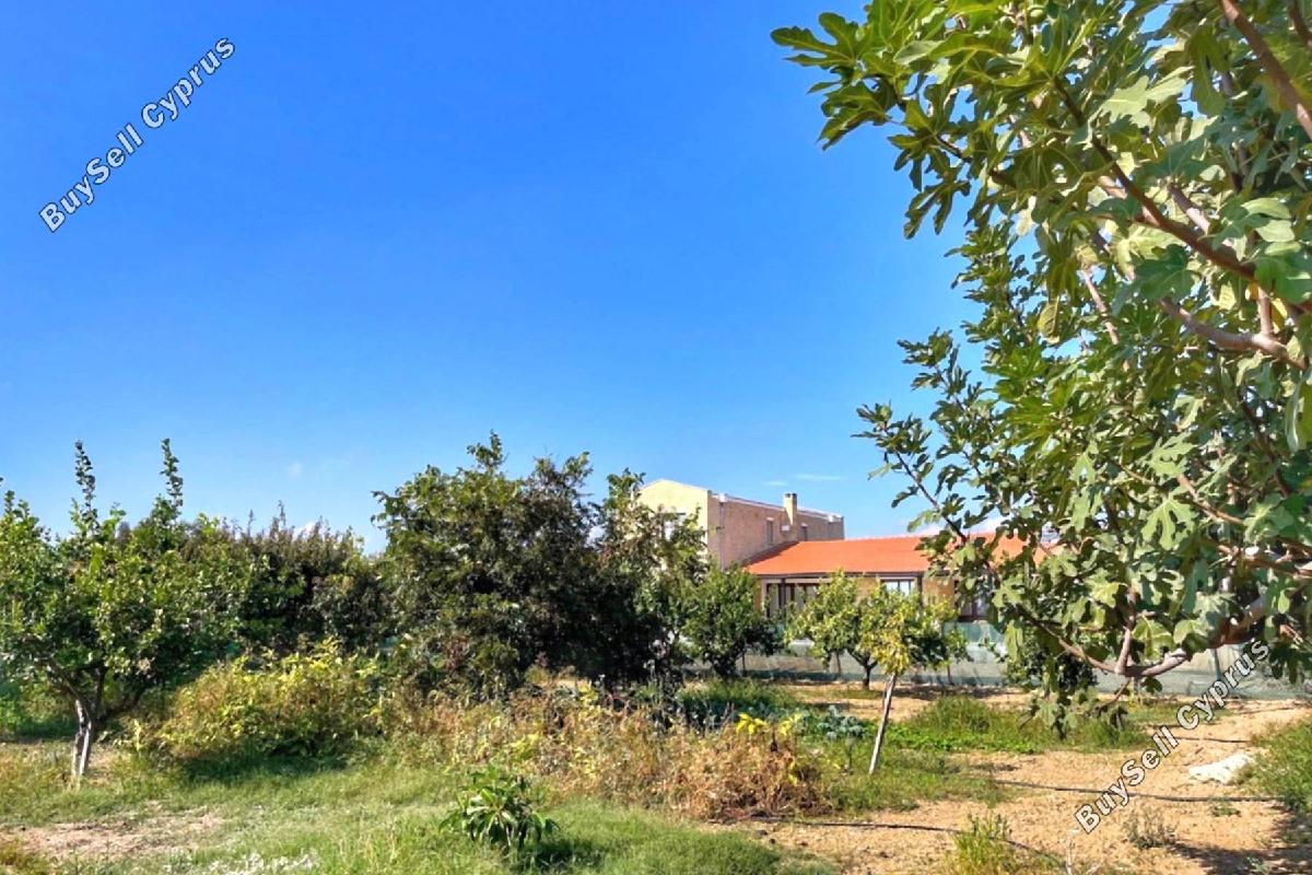 3 bedroom detached house for sale maroni larnaca 1659447 image 13281979