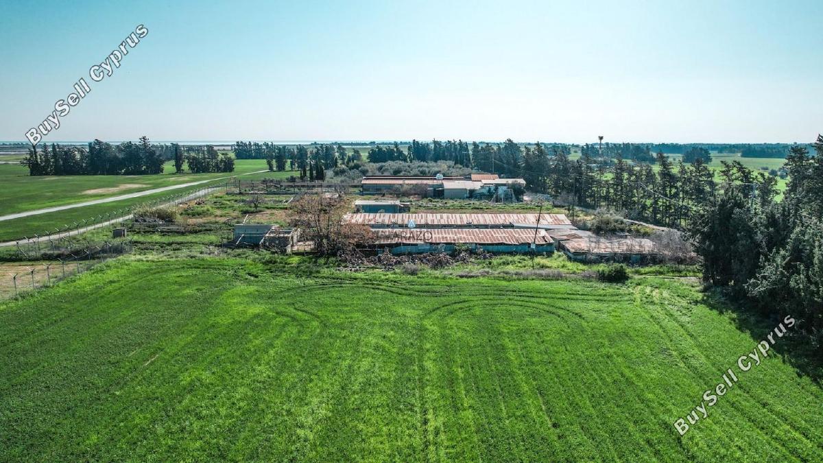 land for sale meneou larnaca 1674447 image 5671571