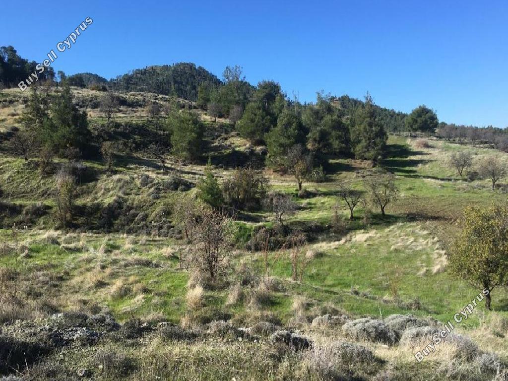 land for sale nikitari nicosia 946447 image 15601129