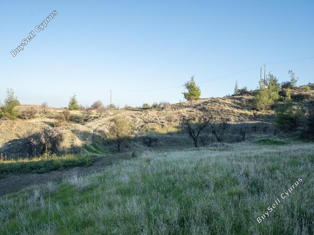 land for sale nikitari nicosia 946447 image 15601131