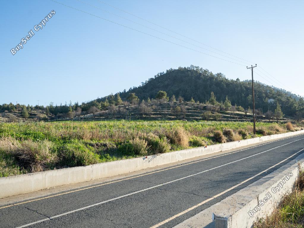 land for sale nikitari nicosia 946447 image 15601134