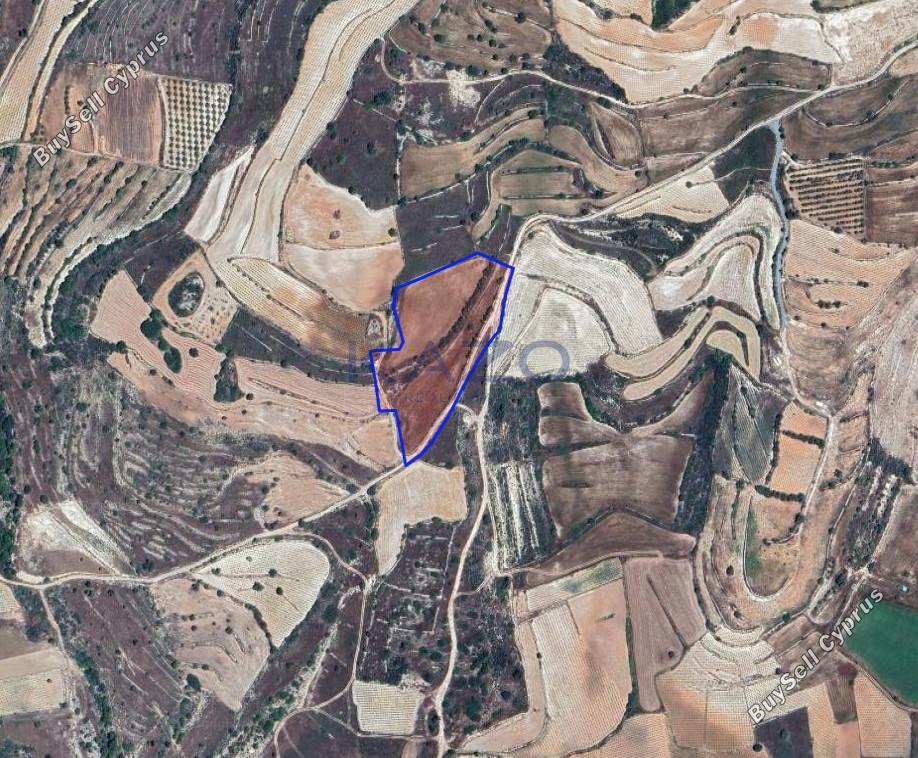 land for sale pachna limassol 8156547 image 13482519
