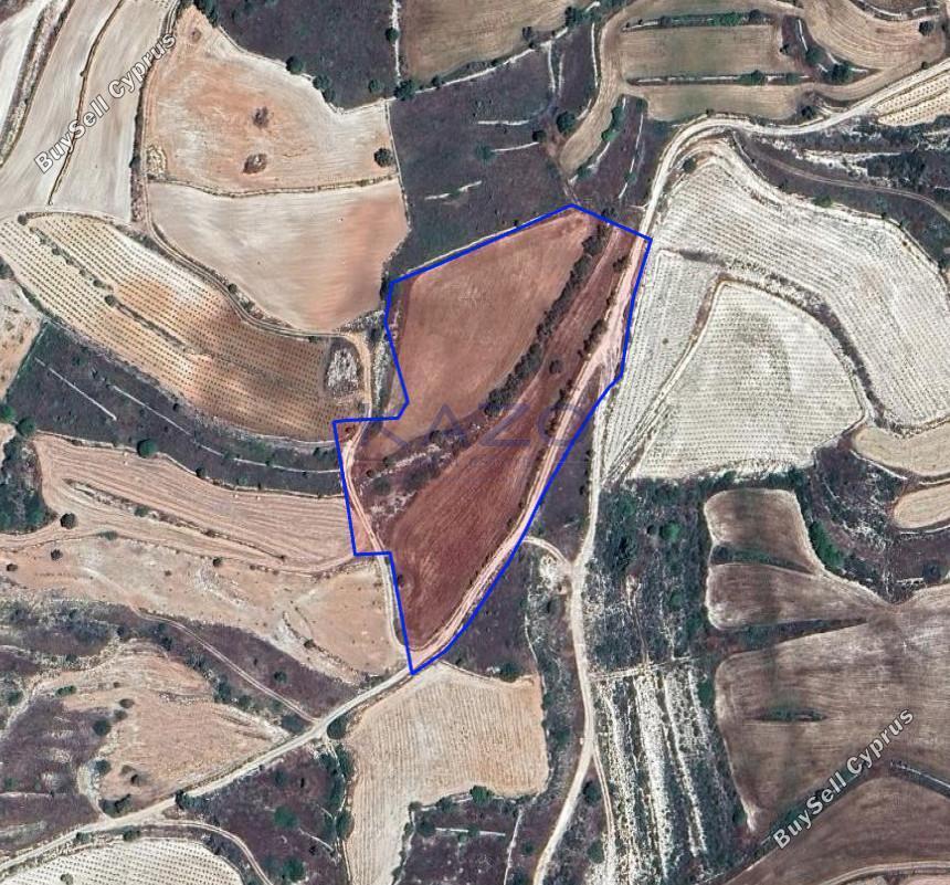 land for sale pachna limassol 8156547 image 13482520