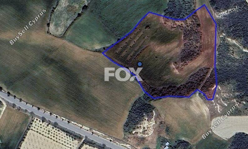 land for sale steni paphos 1516547 image 5632735