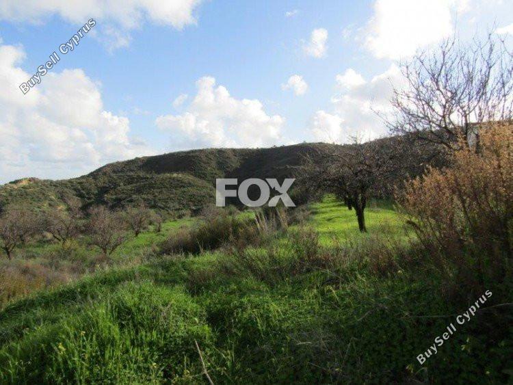 plot for sale pissouri limassol 1146547 image 9462668