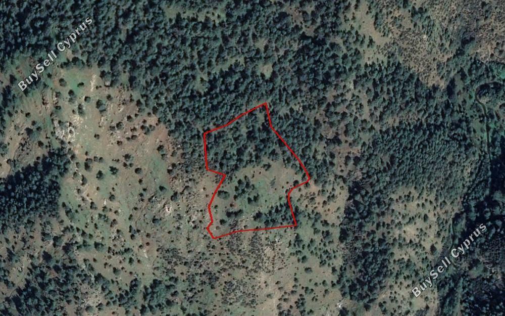 land for sale pigenia nicosia 829647 image 6572129