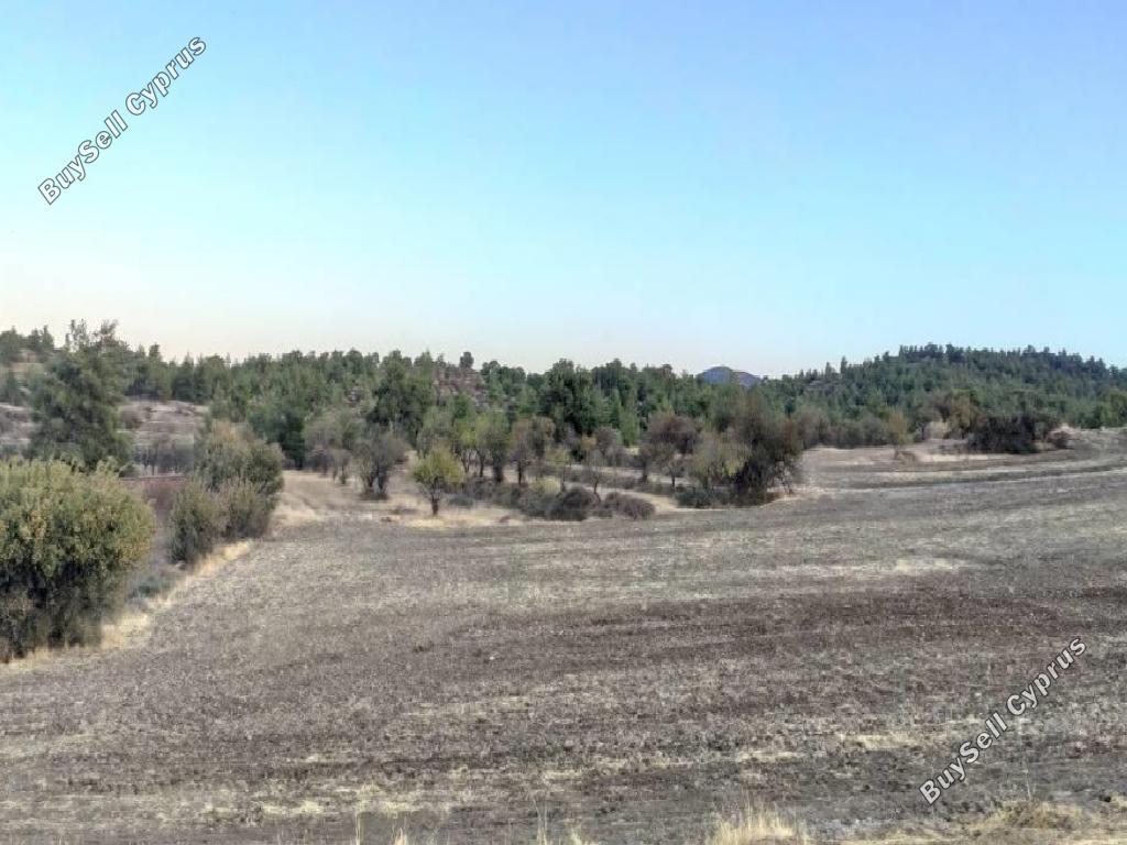 4683 SQM Land for sale in Agios Georgios Kafkallou, Nicosia 15600775