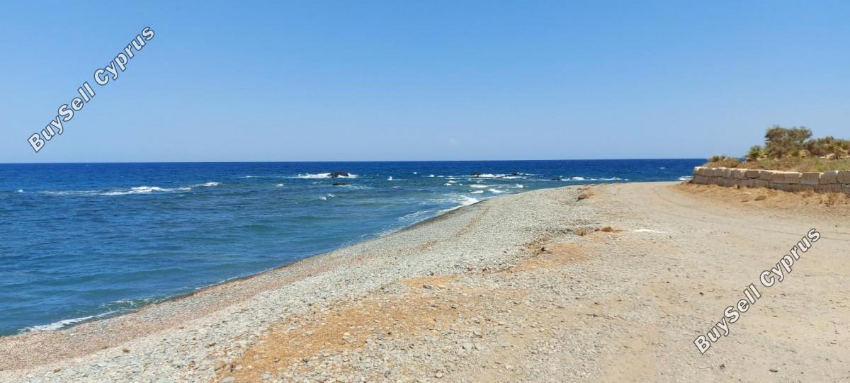 4 bedroom detached house for sale pomos paphos 8395747 image 16047138