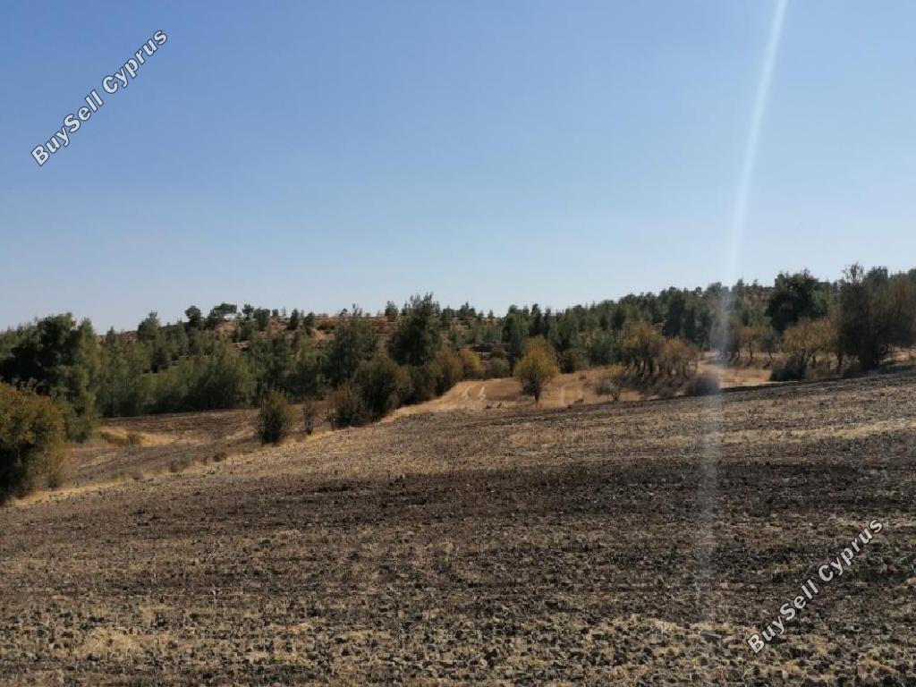 land for sale agios georgios kafkallou nicosia 1020747 image 15600774