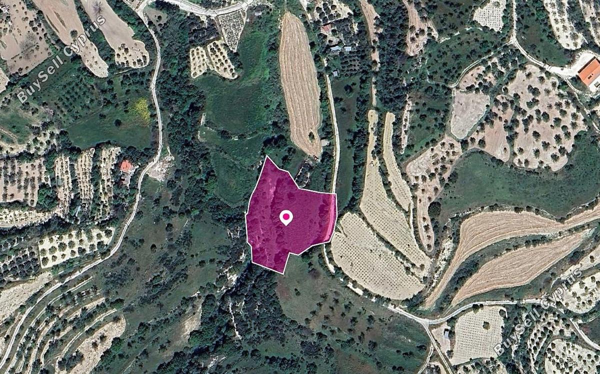 land for sale kallepeia paphos 1213747 image 13721480