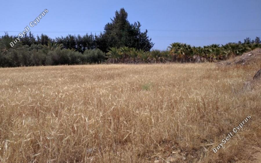 land for sale kouklia pafou paphos 8630747 image 16318198