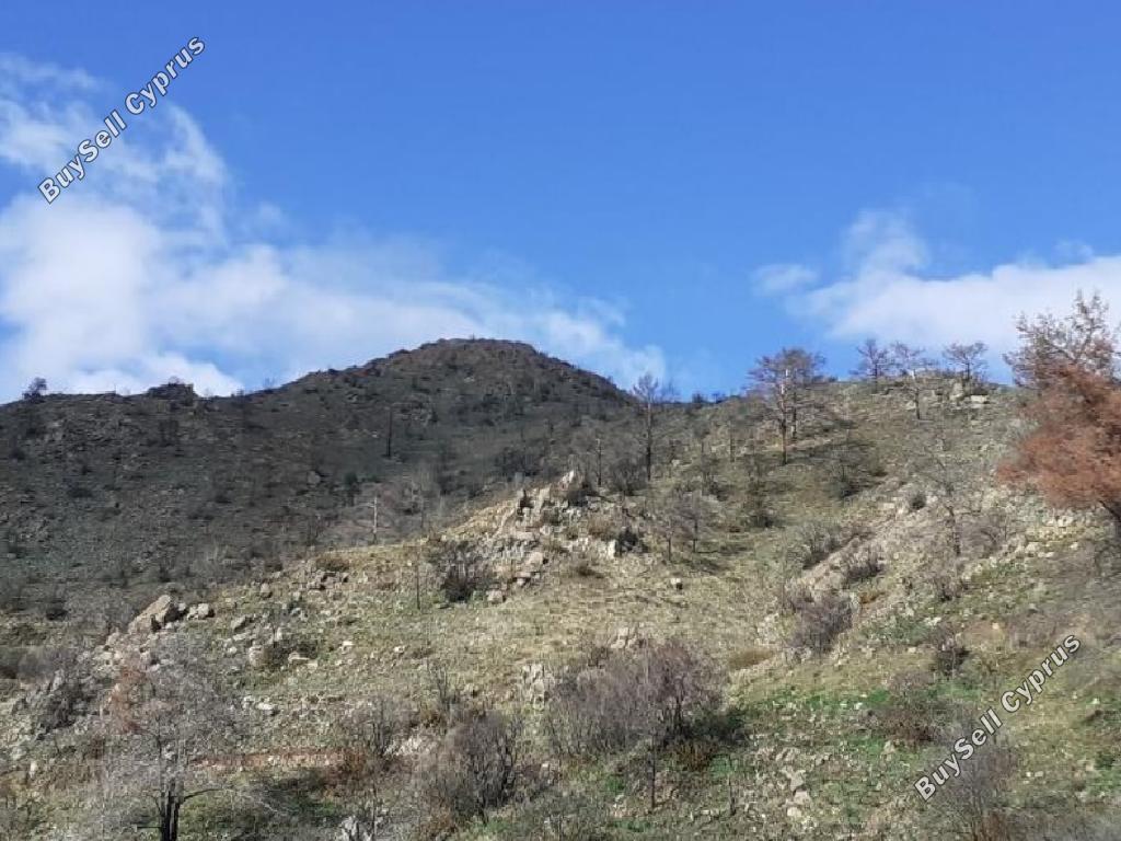 3010 SQM Land for sale in Odou, Larnaca 15602246