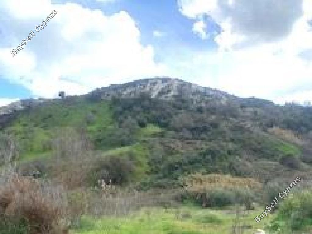 11706 SQM Land for sale in Episkopi Pafou, Paphos 15599643