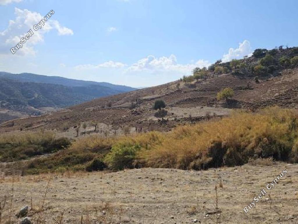 land for sale agios dimitrianos paphos 8664947 image 17010357