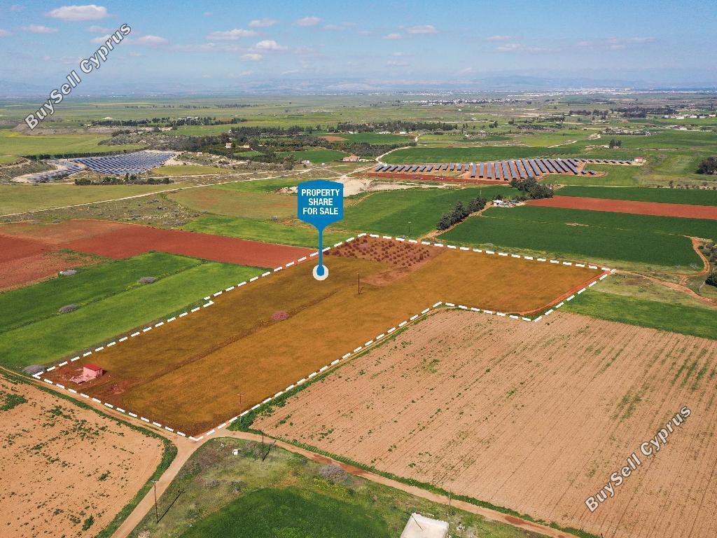 land for sale avgorou famagusta 822947 image 15601990