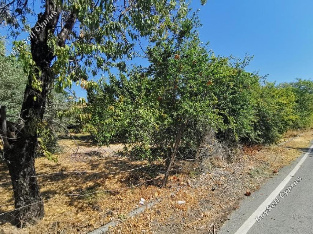 land for sale pomos paphos 1517947 image 13346970