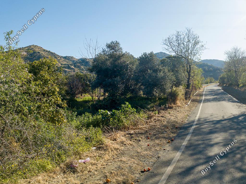 land for sale pomos paphos 1517947 image 15136314