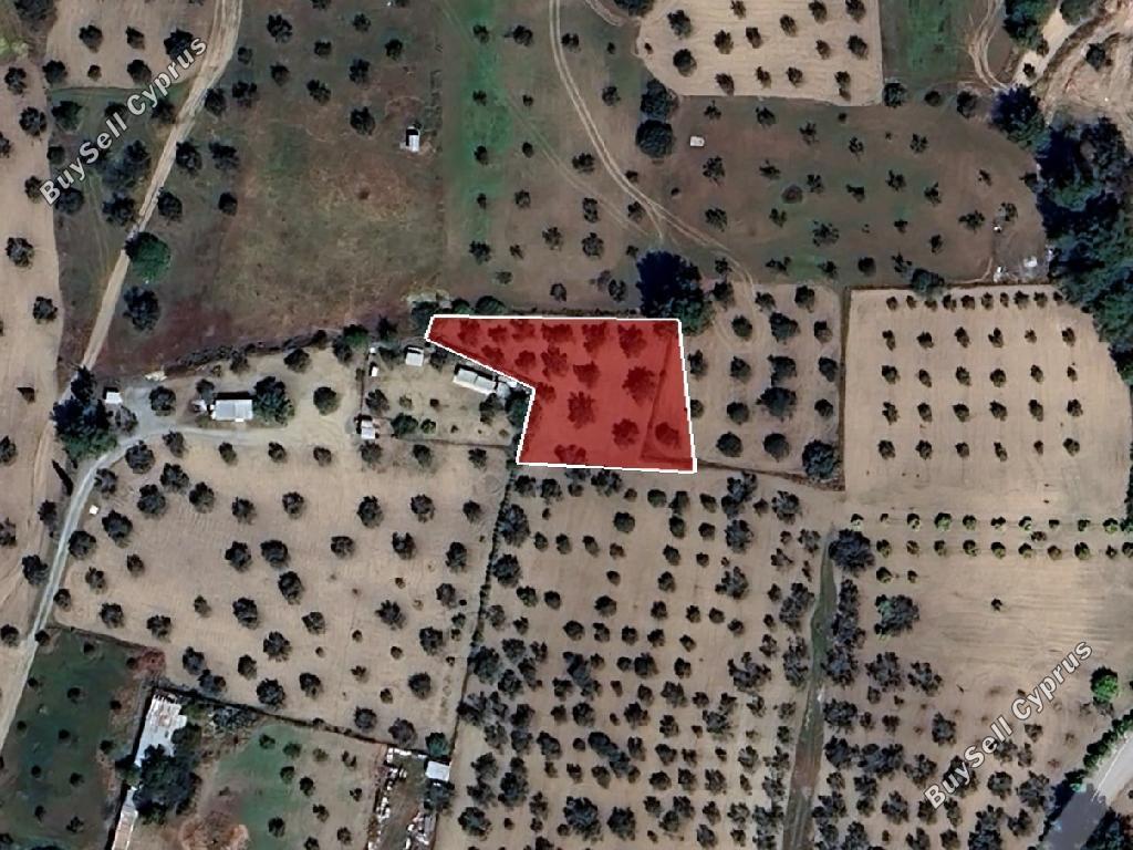 1345 SQM Land for sale in Kornos, Larnaca 16242310