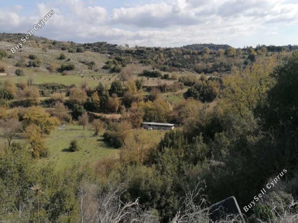 land off market psathi paphos 8659057 image 17011352