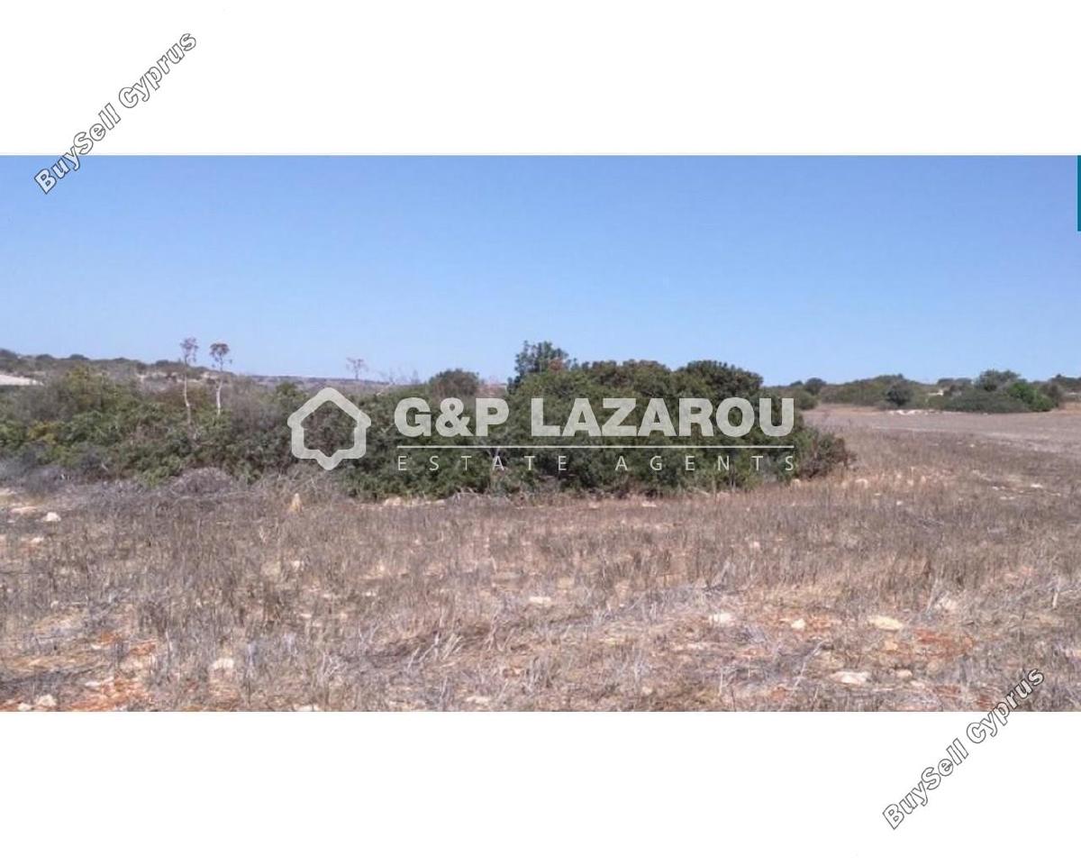 land for sale agios theodoros larnacas larnaca 1688157 image 6010268