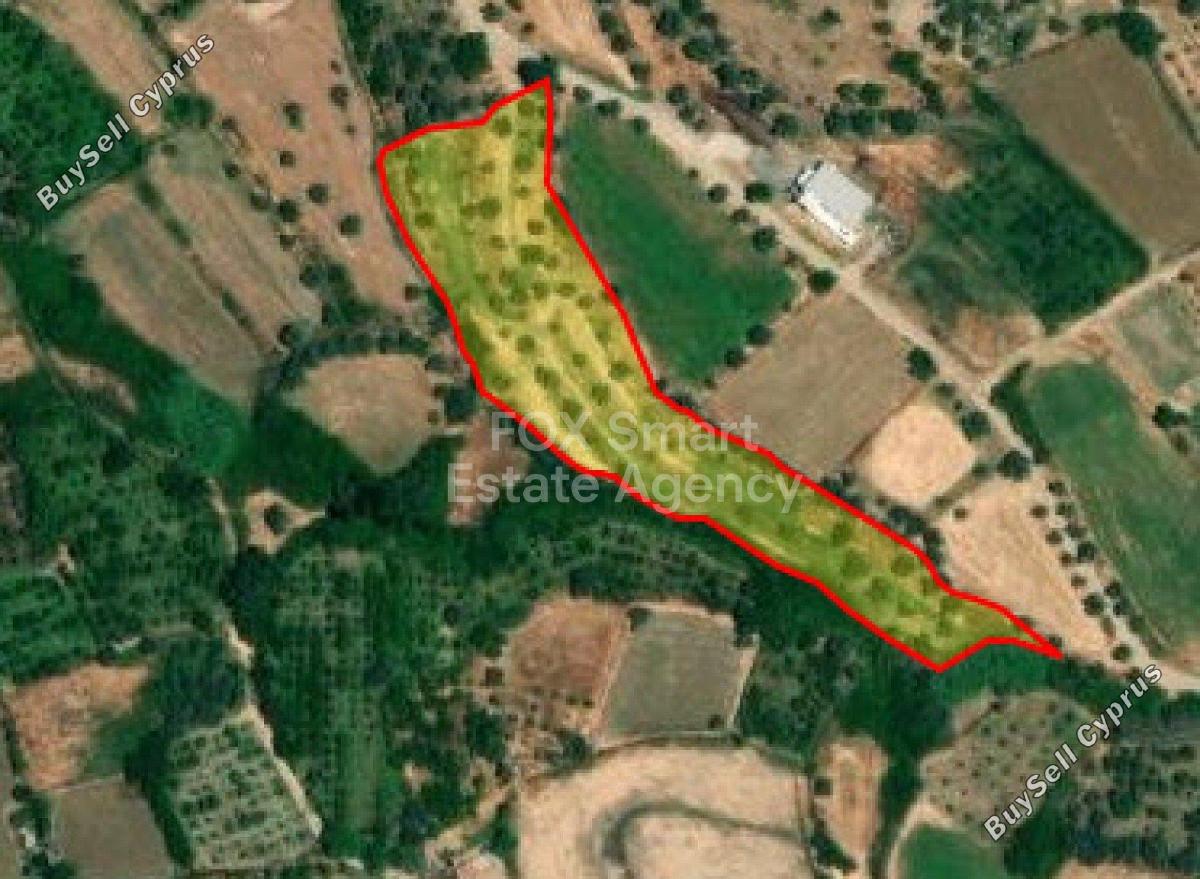 land for sale evrychou nicosia 1151157 image 5129092