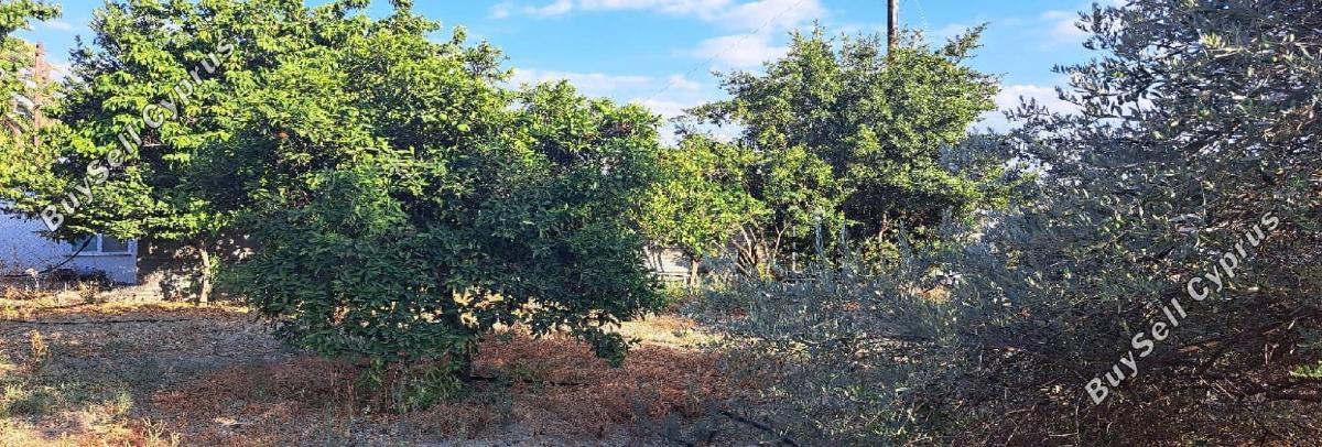 4 bedroom detached house for sale pera orinis nicosia 1506357 image 16252033