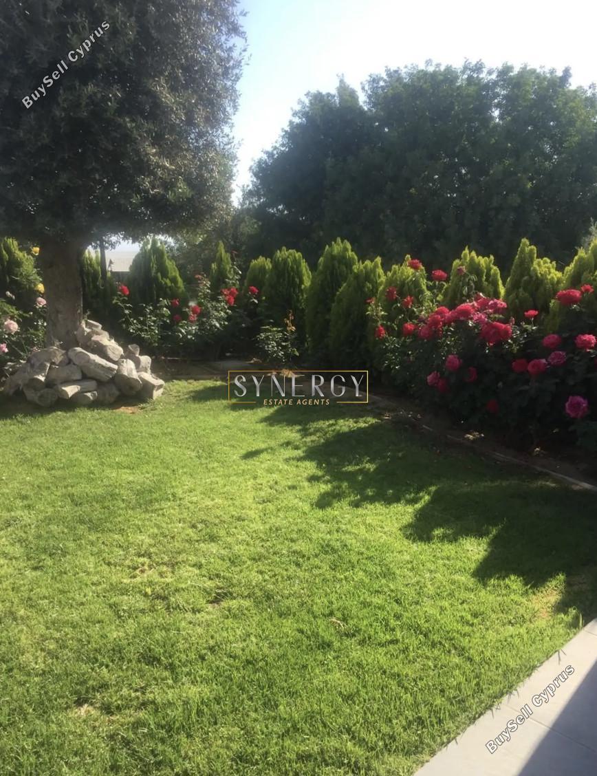 5 bedroom detached house for rent mesogi paphos 8745357 image 16431078