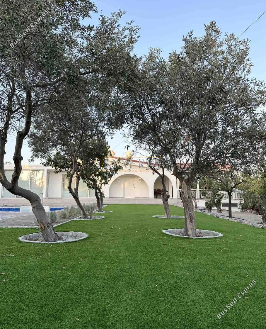 4 bedroom detached house for rent moni limassol 8560557 image 17500286