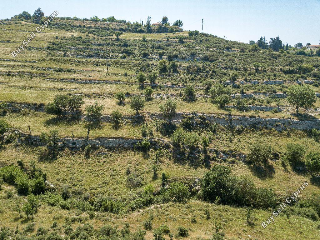 land for sale agios ambrosios limassol 853557 image 15601716