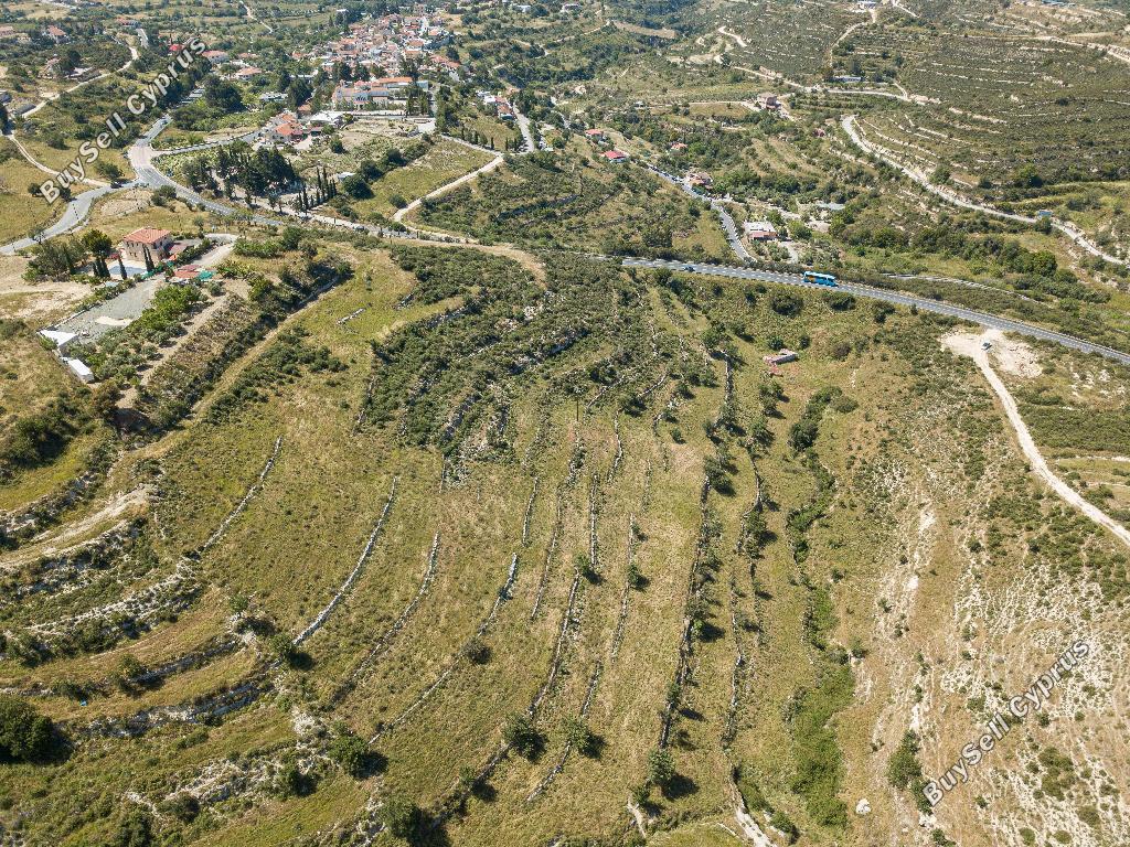 land for sale agios ambrosios limassol 853557 image 15601719