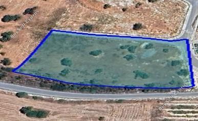 land for sale ypsonas limassol 1546557 image 6516343