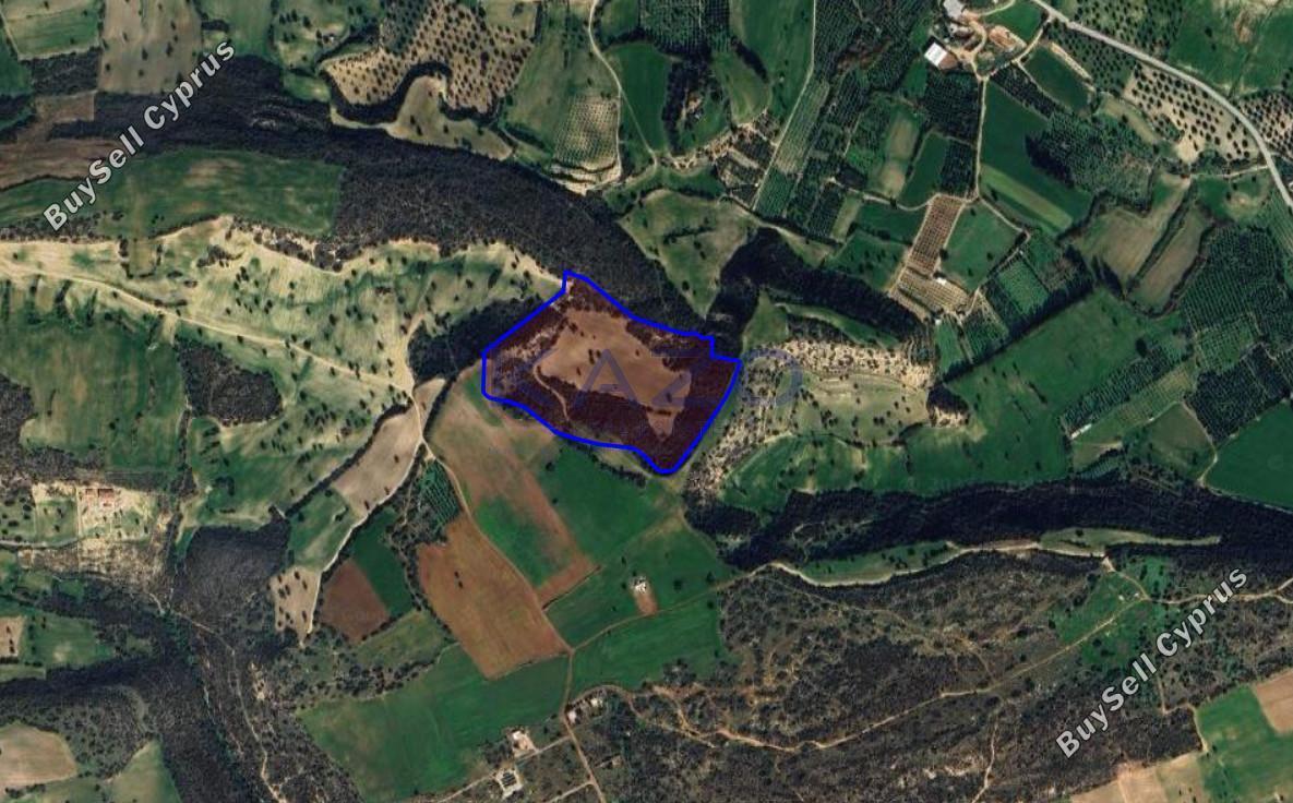 land for sale agios theodoros larnacas larnaca 7703657 image 10009537