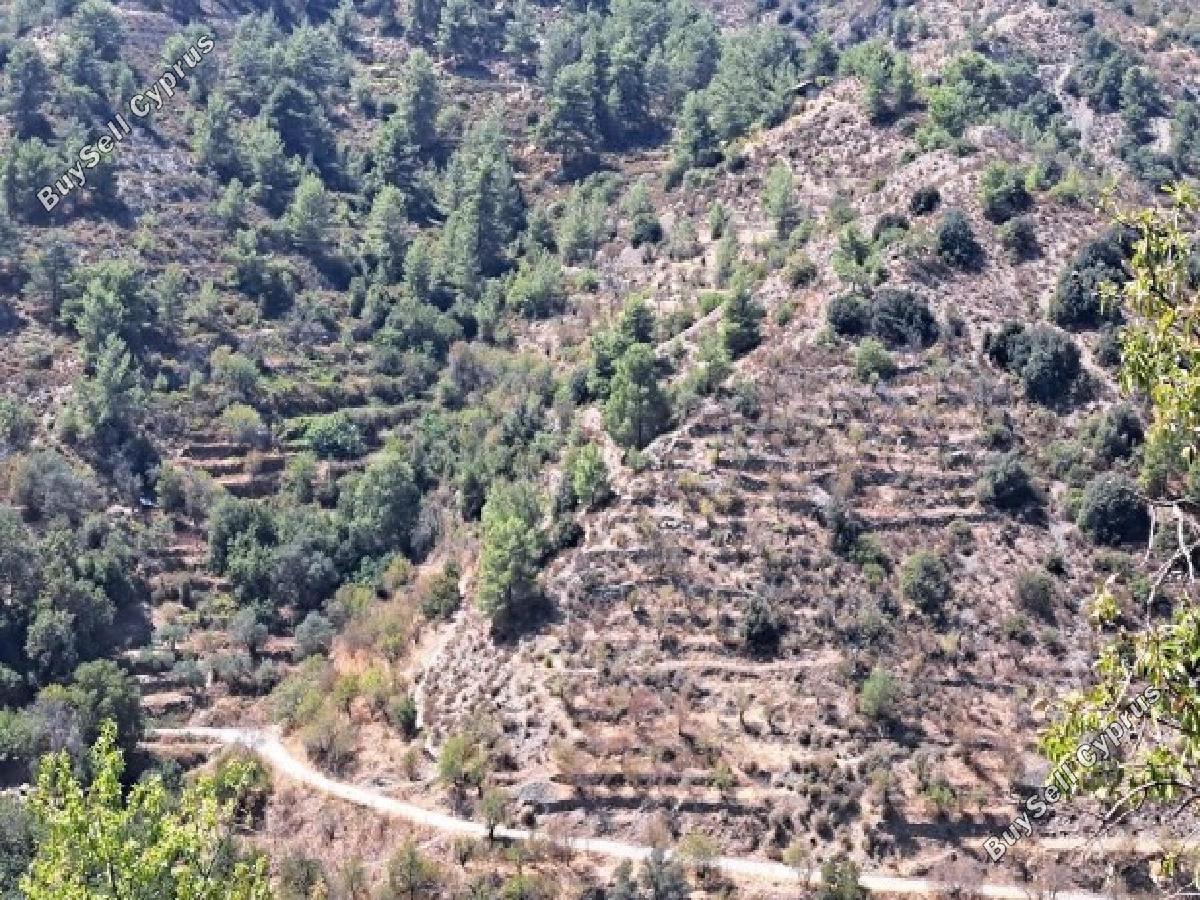 land for sale fterikoudi nicosia 8726657 image 16333163