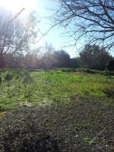 studio building for sale paphos municipality paphos 1480657 image 12369534