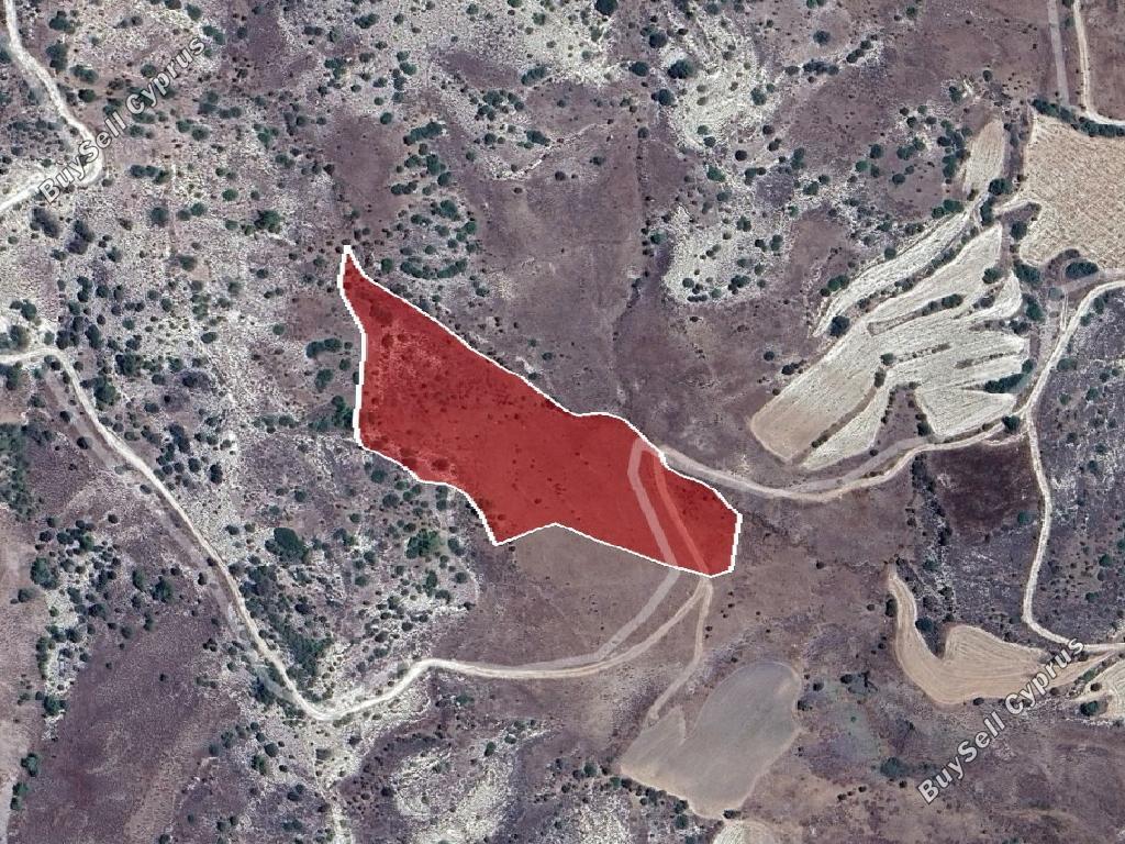 land for sale amargeti paphos 1262857 image 15600917