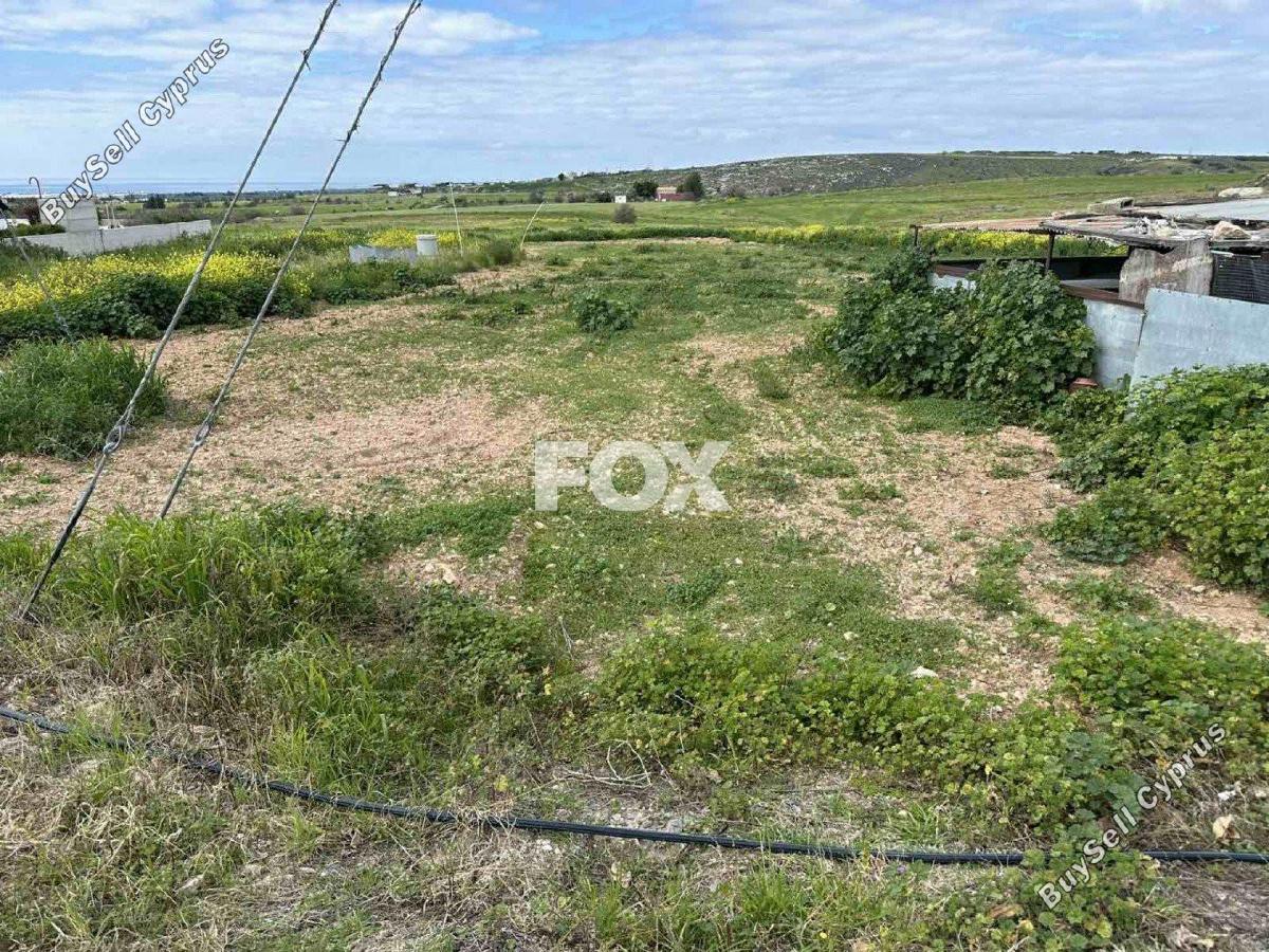 land for sale anarita paphos 1160857 image 5549574
