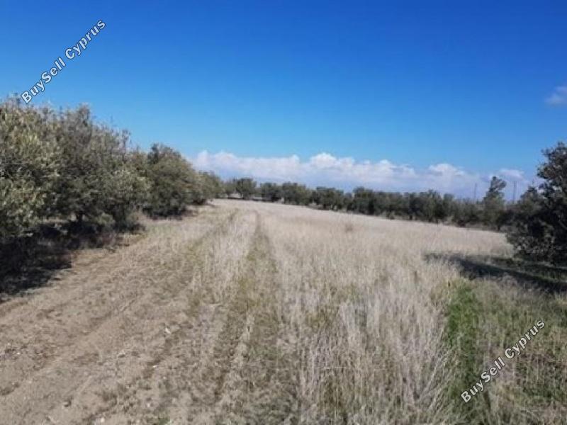 land for sale klirou nicosia 1061857 image 16168472
