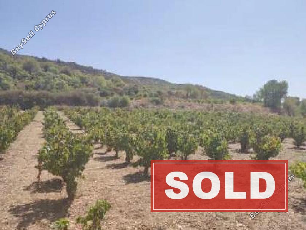 land sold omodos limassol 8531857 image 15467458