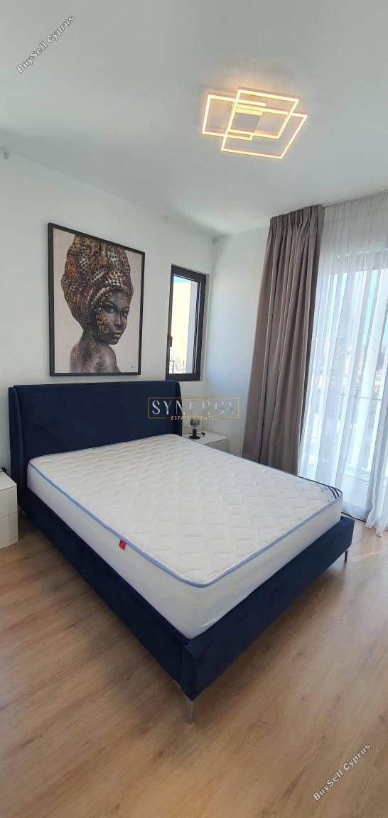 1 bedroom apartment for rent agios nicolaos limassol 8101957 image 16339068