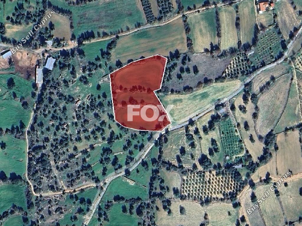 land for sale anogyra limassol 1609957 image 14456344